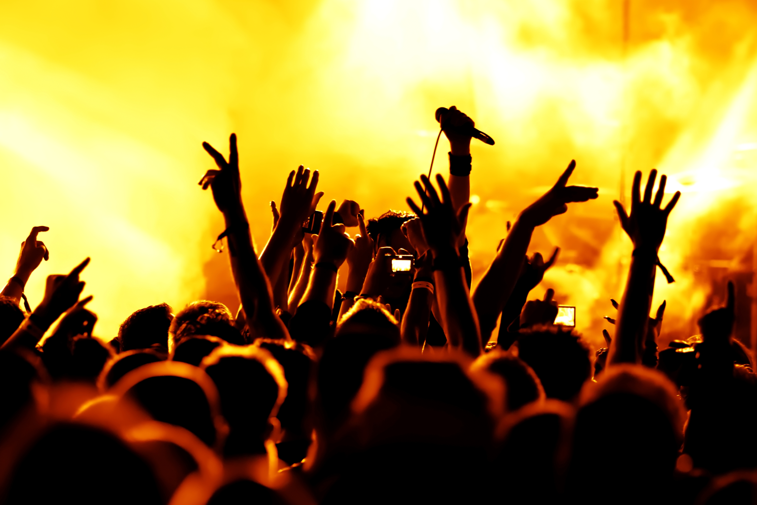 1,000 True Fans | Live Off Your Music with 1000 Fan Formula